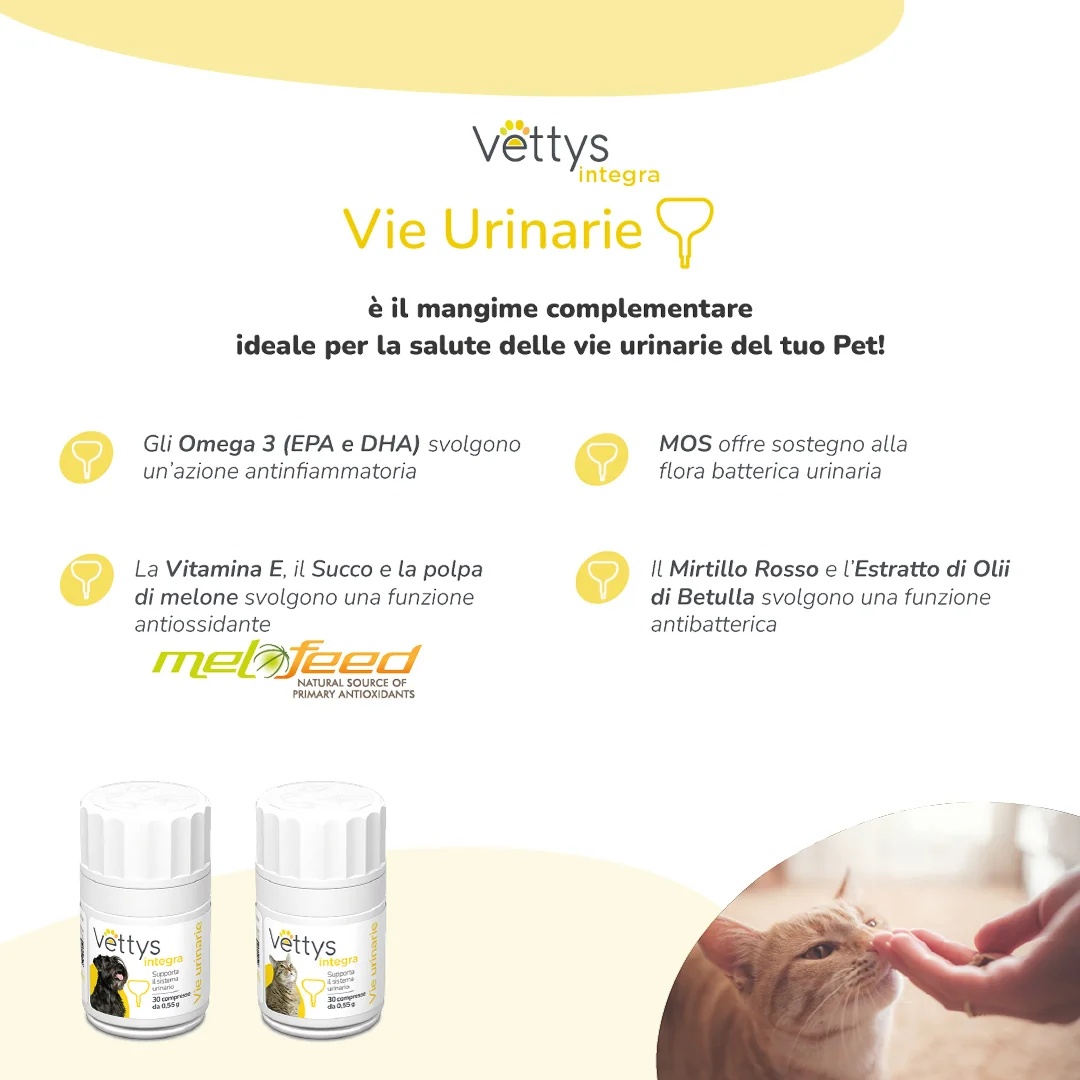 VETTYS Vettys Integra Urineweginfectie voor katten 30 tabletten voor katten
