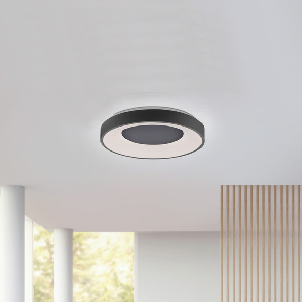 Lampă de tavan LED Erika