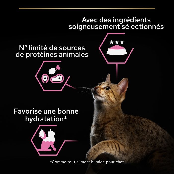 PRO PLAN Adult Delicate Digestion Poisson Océan Sauce 10x85g Pochons pour chat adulte