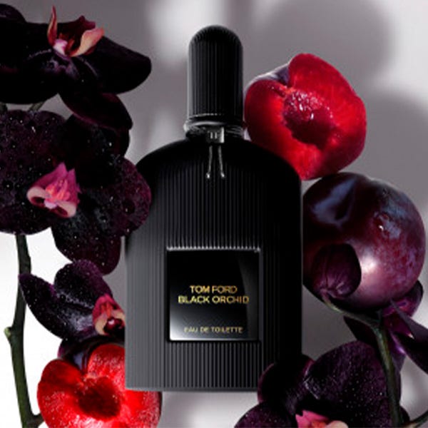 Fekete orchidea