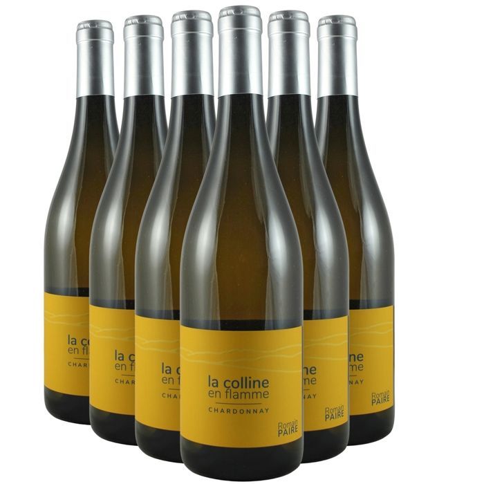 Domaine des Pothiers Côte Roannaise Colline en Flamme 2023 - Vin Blanc du Val de Loire (6x75cl) BIO
