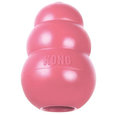 Valp KONG