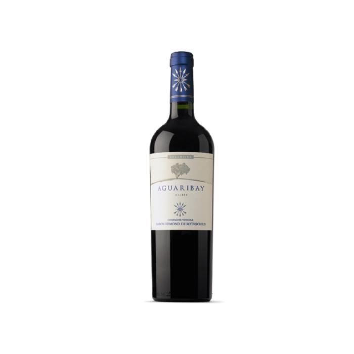 Flèches des Andes Aguaribay Rouge Mendoza 2021
