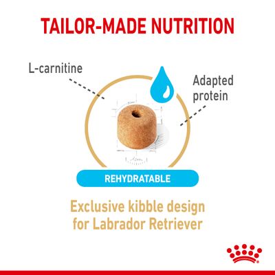 Royal Canin Labrador Retriever Adulto 5+