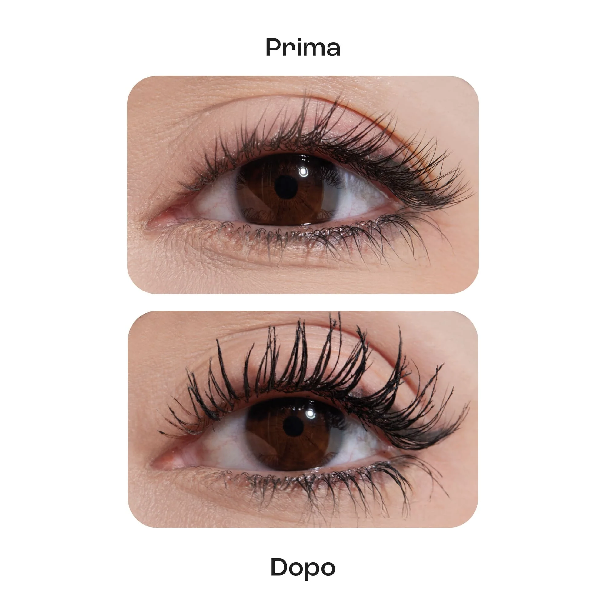 Occhi CURVEUP your lashes! Mascara Pinalli - Mascara