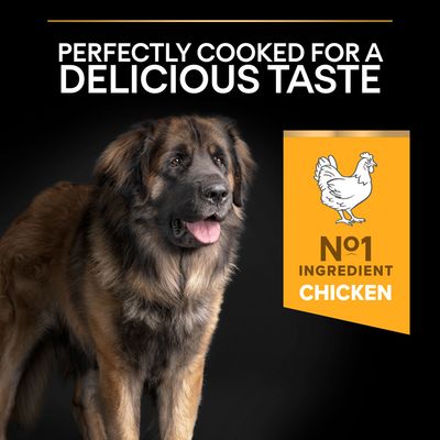 PURINA PRO PLAN Nutrition quotidienne pour adultes robustes de grande taille
