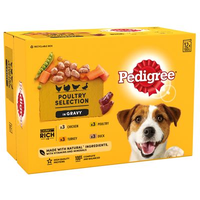 Pedigree Pouch in Gravy Multipack