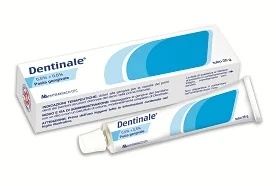MONTEFARMACO Dentinaal 0,5% + 0,5% amylocaïne-natriumbenzoaat 25 g tandvleespasta voor kinderen