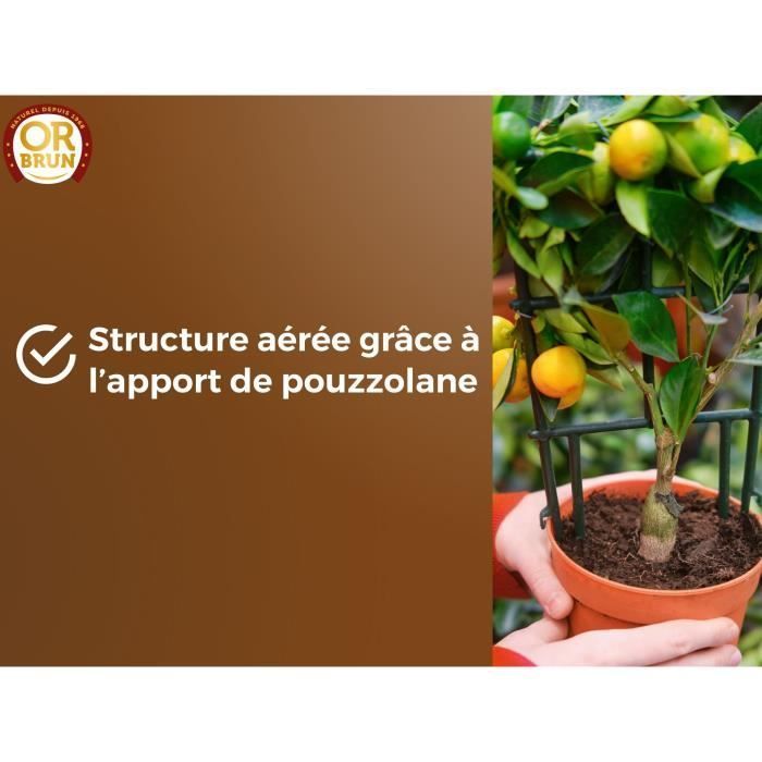 Terreau agrumes et plantes méditéranéeennes - OR BRUN - OBRTAG20N - 20 L