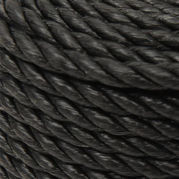 153012 VidaXL Cuerda de trabajo negra 10 mm 50 m Polipropileno