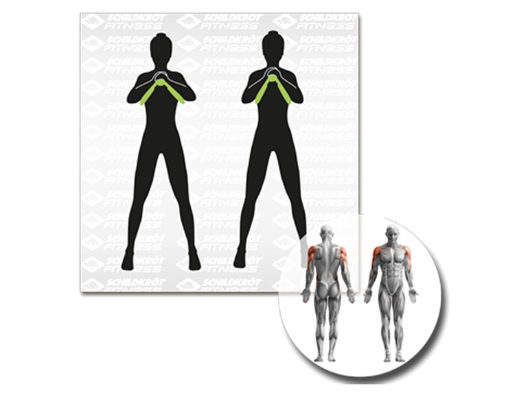Schildkröt Fitness Dijtrainer / Beentrainer