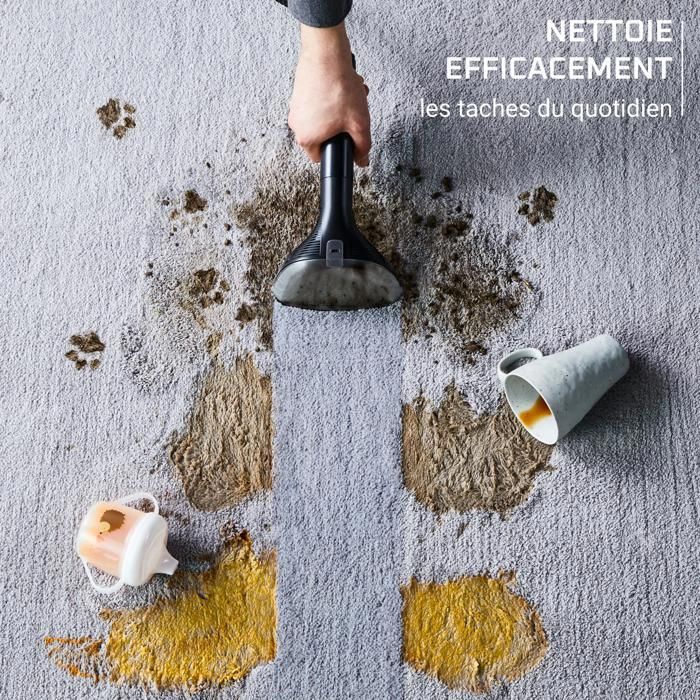 Rowenta, Clean It Compact, Shampouineuse, Détacheur, Nettoyeur portable, Design compact, IN3020F0