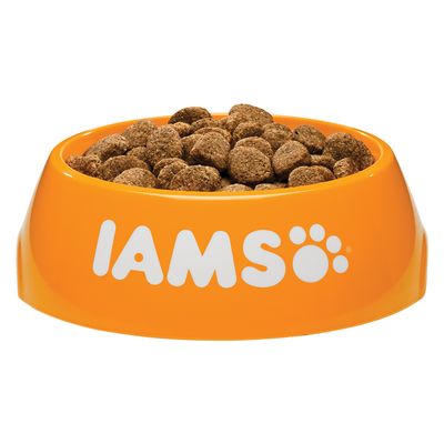 IAMS für Vitality Senior & Mature Large Dog - Huhn