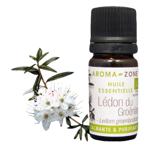 Huile essentielle Lédon du Groenland BIO 5ml