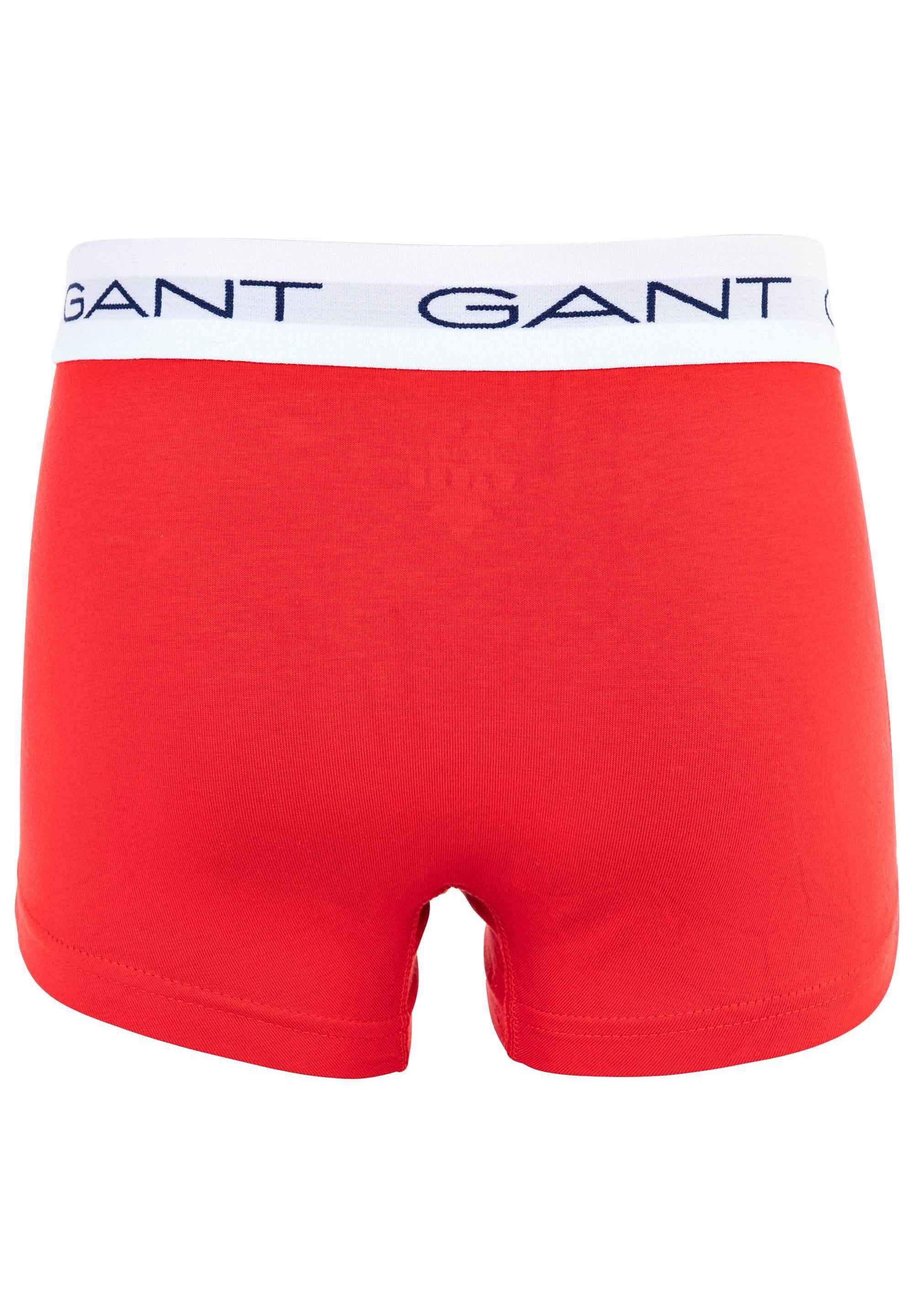 Lot de 3 pantalons GANT - multicolore