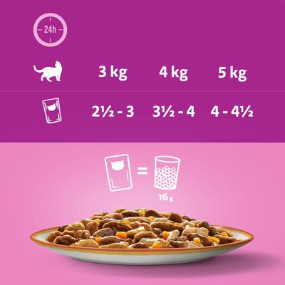 Whiskas 1+ Tasty Mix Country Collection i saus