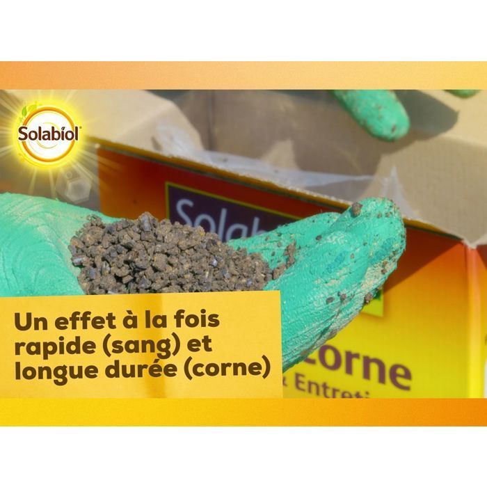 SOLABIOL Bloed- en Hoefmeststof - 1,5 kg - Tot 35 m² - Snelwerkend (bloed) & langdurig (hoef) - Gemakkelijk te verspreiden