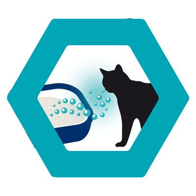 Gama Biokat Diamond Care Vet, atractivă și calmantă