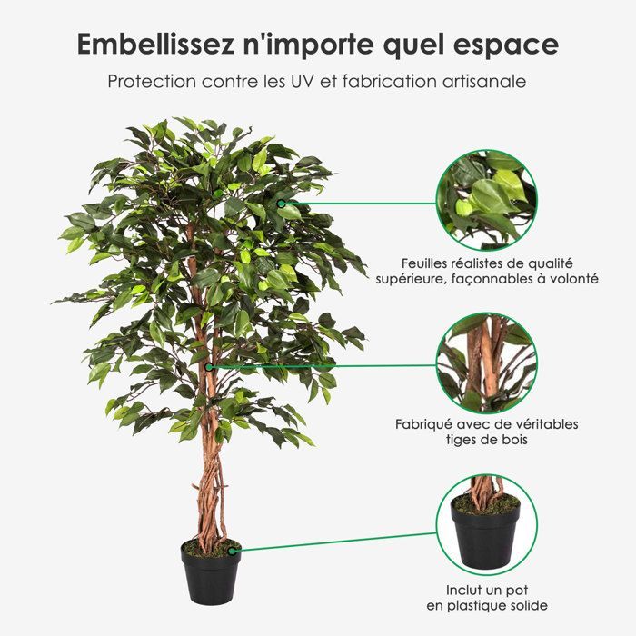 Figuier pleureur Ficus Benjamina Vert en pot 122 cm
