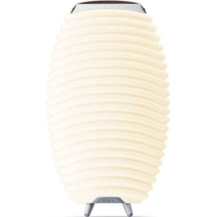 Kooduu Langaton Bluetooth-Kaiutin Integroidulla LED-Valolla ja Jääämpärillä 72 cm - Synergy 65s 2.0
