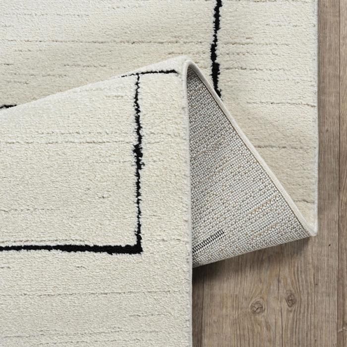 Tapis salon LYN9 BRINKI 160x230 cm Noir - Tapis Salon doux et soyeux