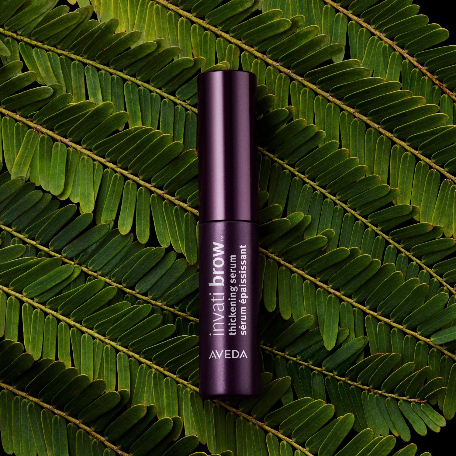 „Aveda“ drėkinamasis serumas „Invati Ultra Advanced™“ antakių tankinimo serumas – 5 ml