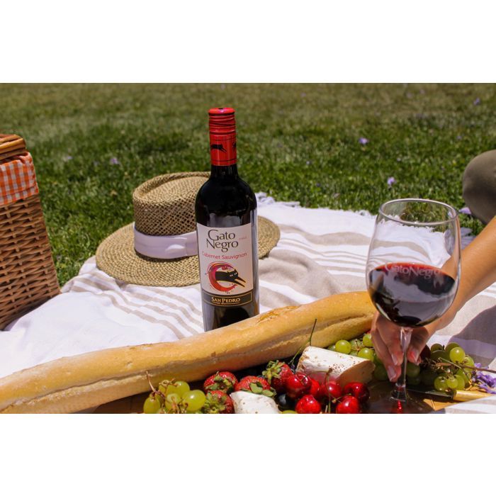 Gato Negro Cabernet Sauvignon, vino rosso cileno 2024
