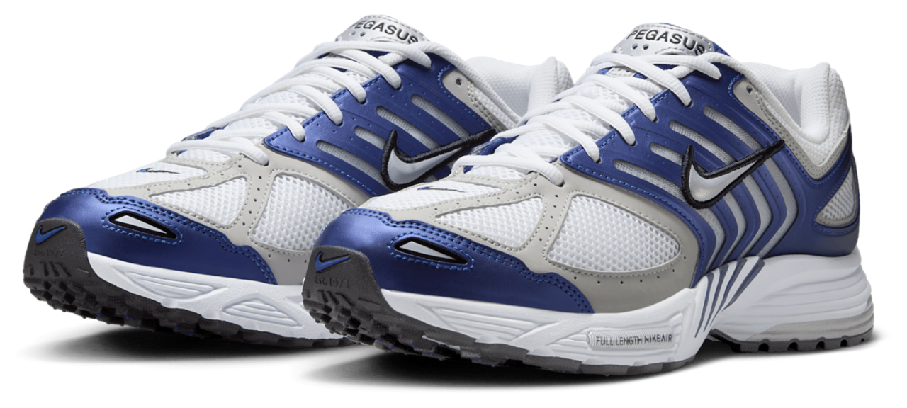 Nike Air Pegasus 2005
