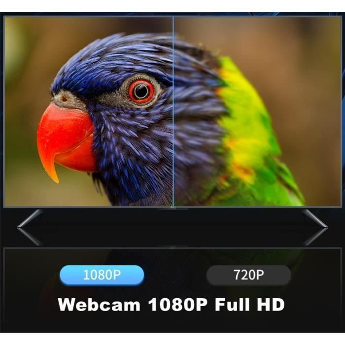 Webcam Full HD 1080P con microfono stereo, registrazione video a 180°, compatibile con Windows e Mac, piccola - nera