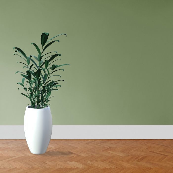 PROVISTON plinthe arrondie mélaminé blanc plinthe MDF 10 x 100mm