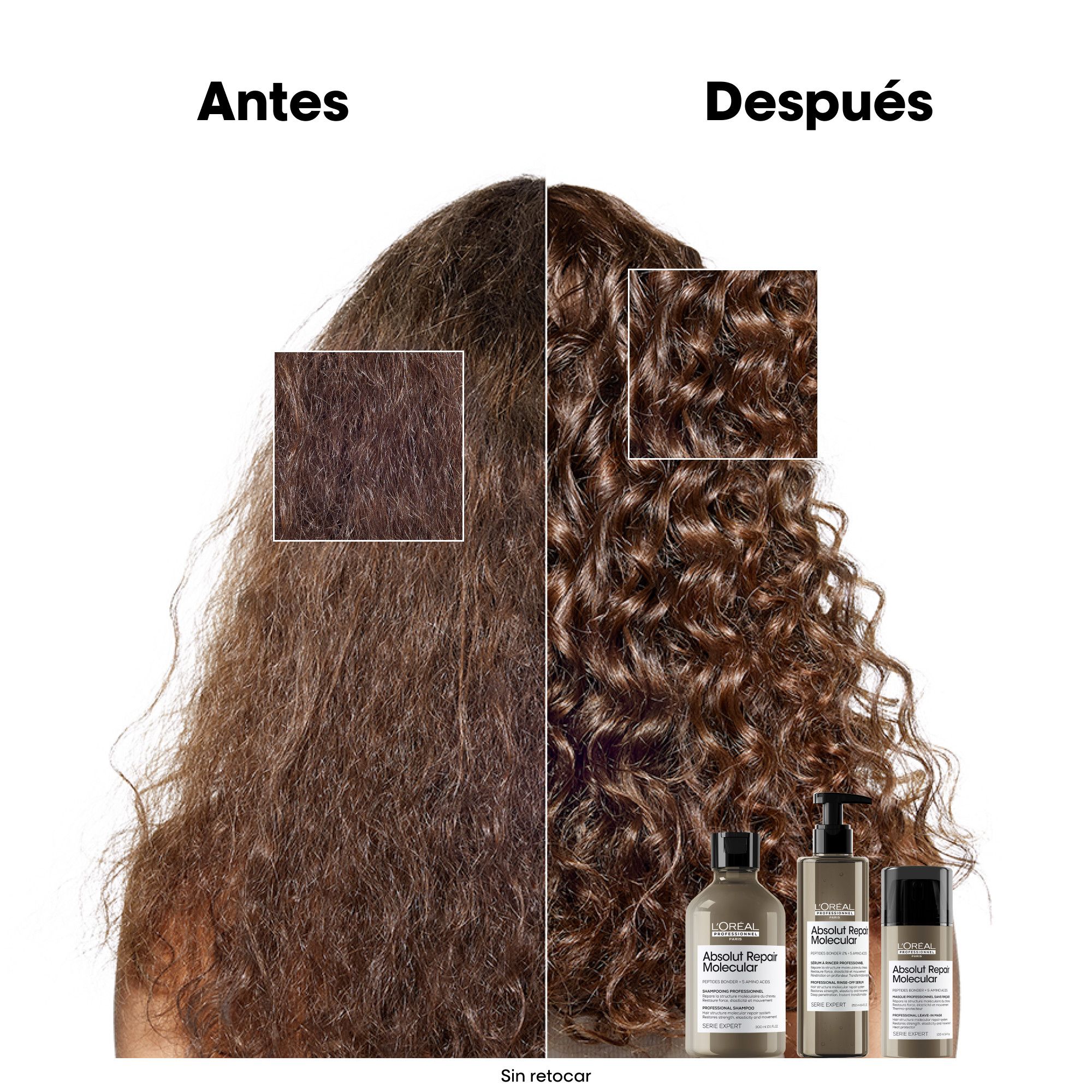 „Serie Expert“ „Absolut Repair“ molekulinio sulfatų neturinčio šampūno papildymas Salonų šampūnai