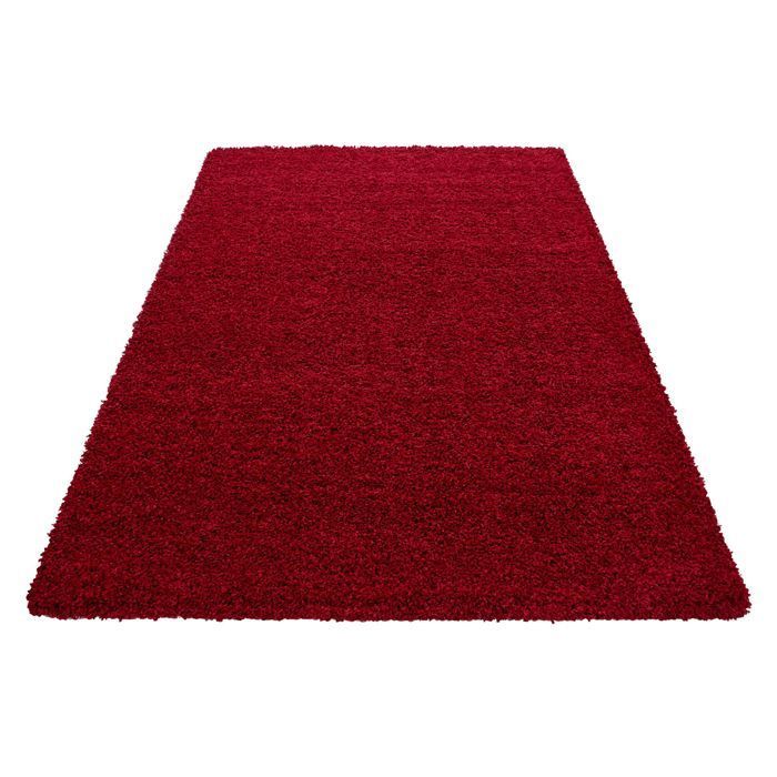 Tapis Salon, Uni Shaggy Moelleux, Chambre, Doux à Poils Longs, hauteur du poil 50 mm, Tapis Rouge, Tapis 60 x 110 cm