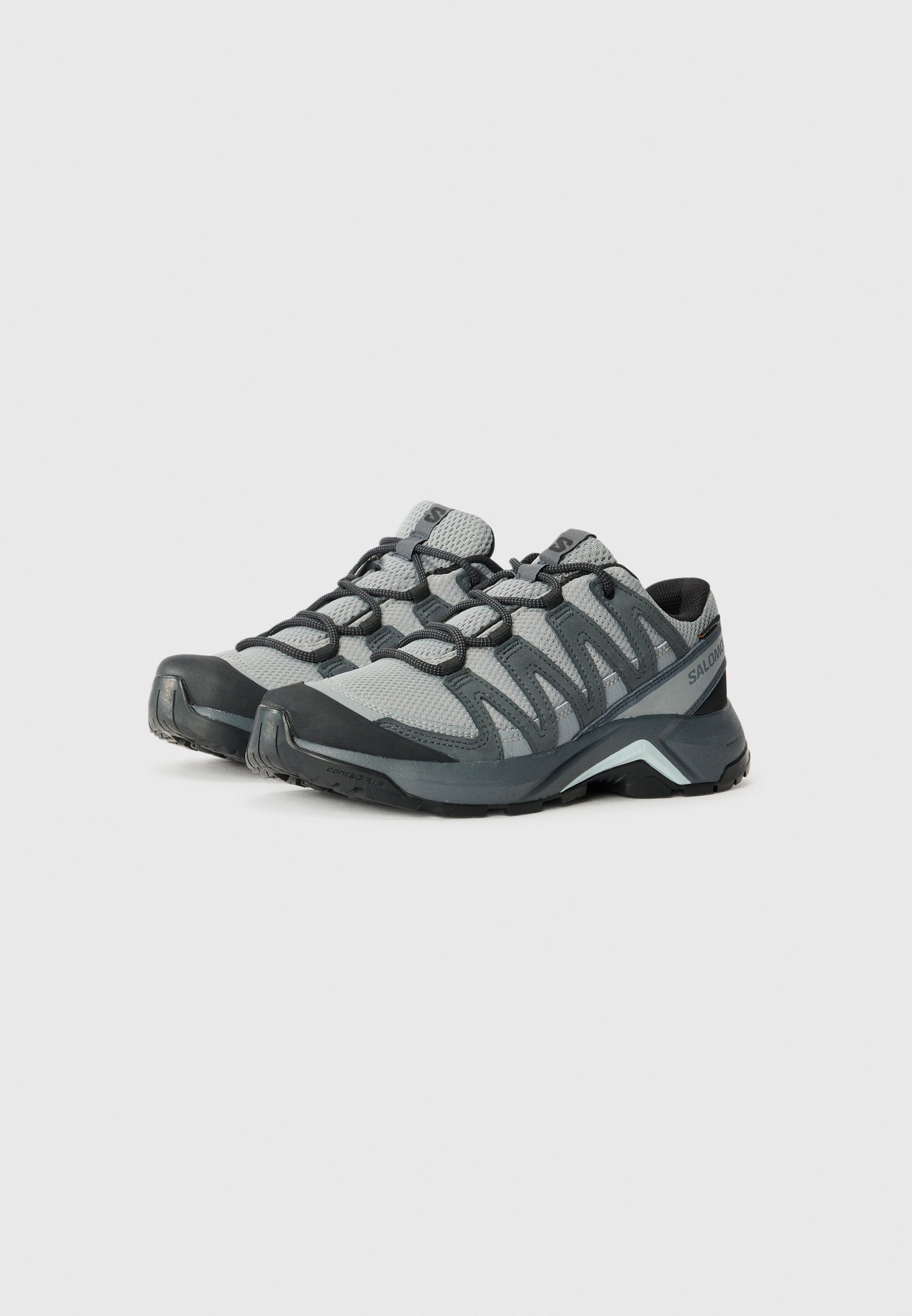 Salomon X ADVENTURE RECON GTX - Scarpe da trekking - grigio/blu