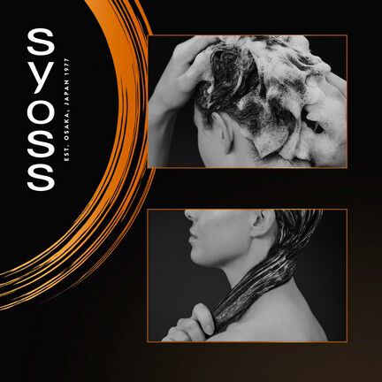 Syoss remonts