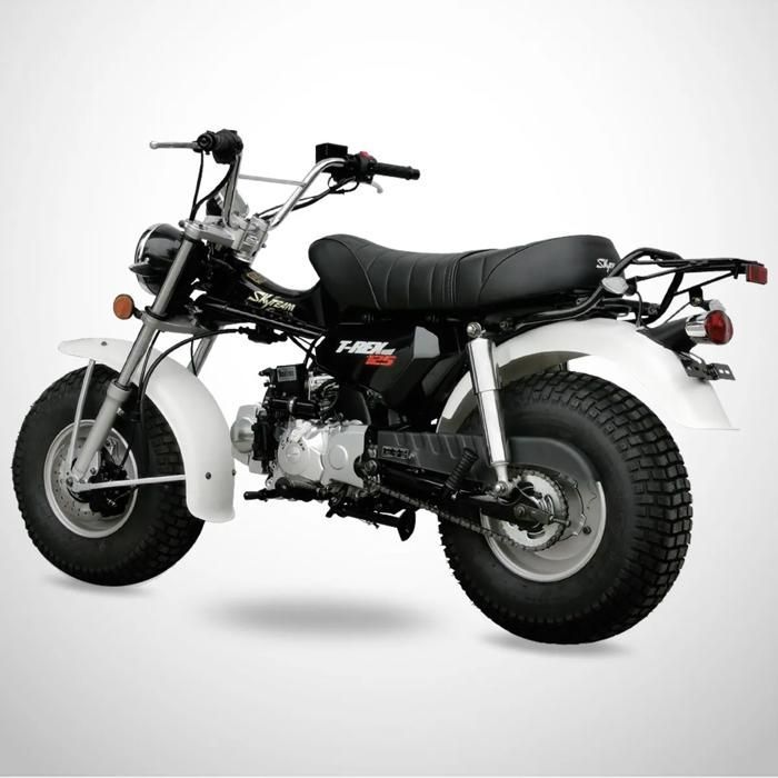 Mini Moto T-REX 125 SKYTEAM / Noir