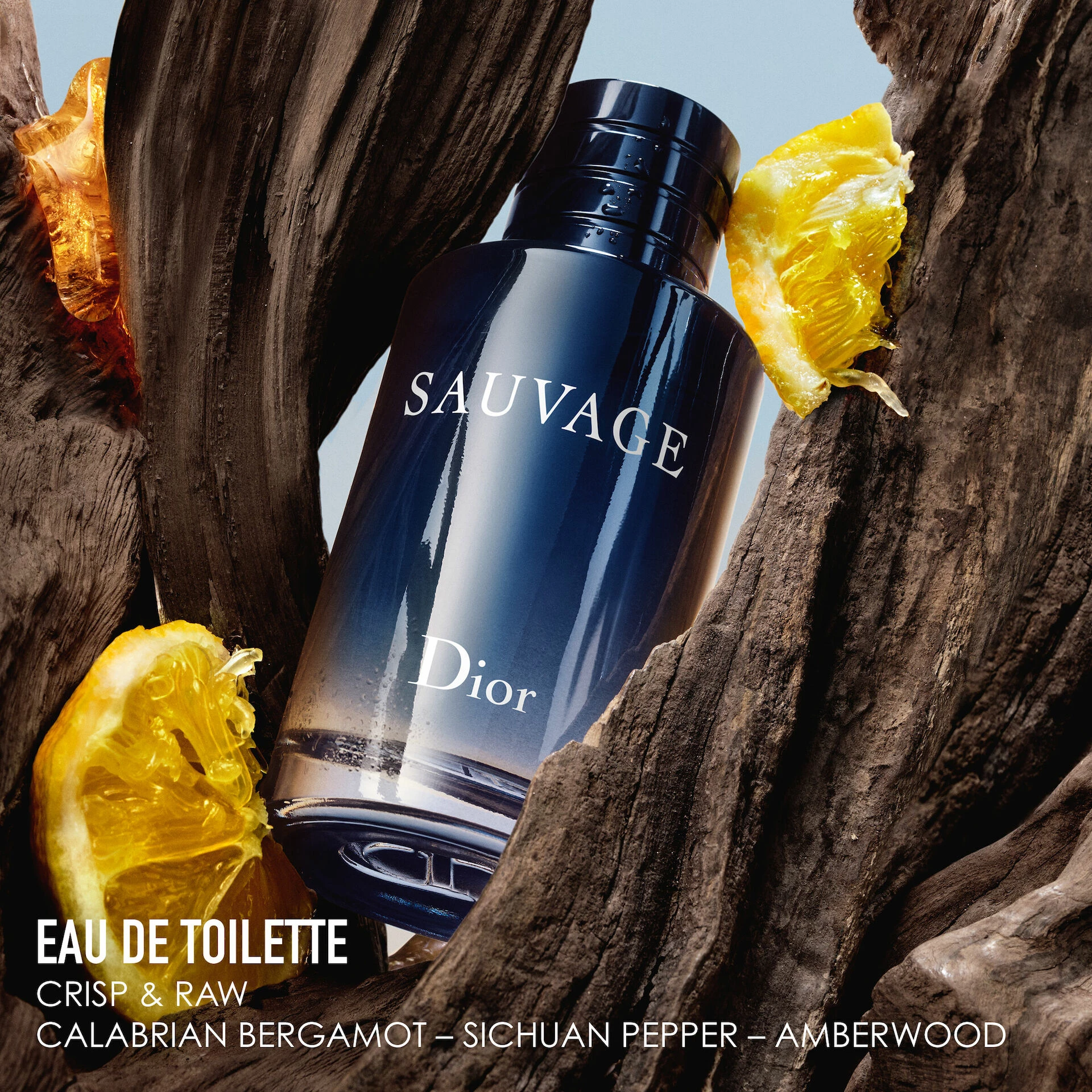 DIOR Sauvage EdT Rezervă 300 ml