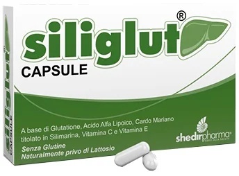 Nahrungsergänzungsmittel SHEDIR Siliglut 20 Kapseln