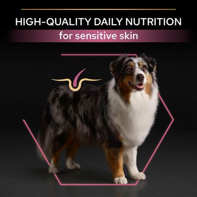 PURINA PRO PLAN Senior Medium & Large Voksen 7+ Sensitiv Hud