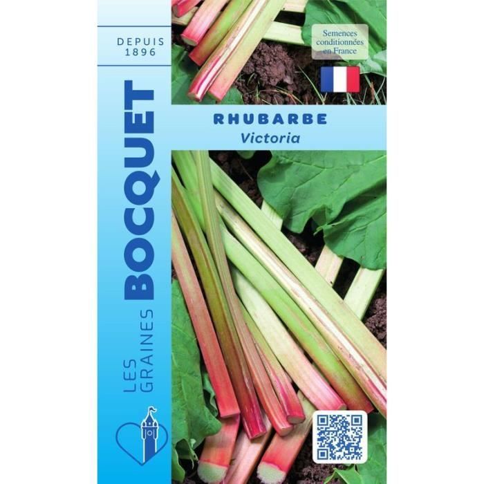 Graine - Semence - Rhubarbe Victoria