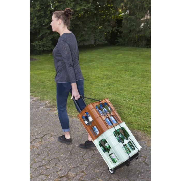 Carretilla plegable MEISTER Mini de 45 kg