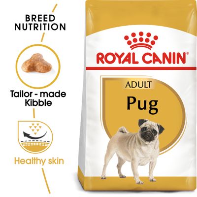Royal Canin Pug Adult