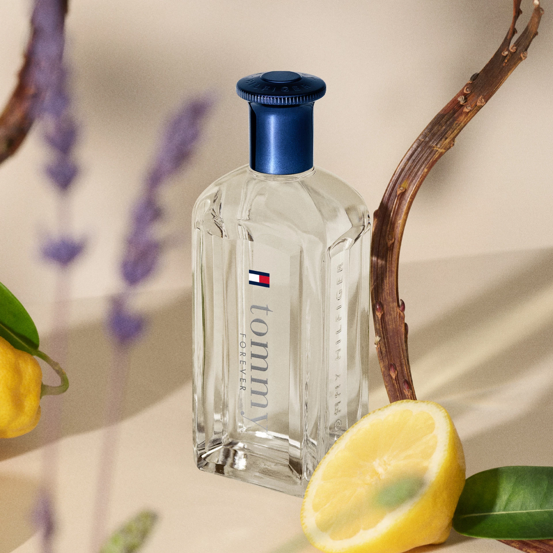 Tommy Forever EdT 30 ml - Tommy Hilfiger