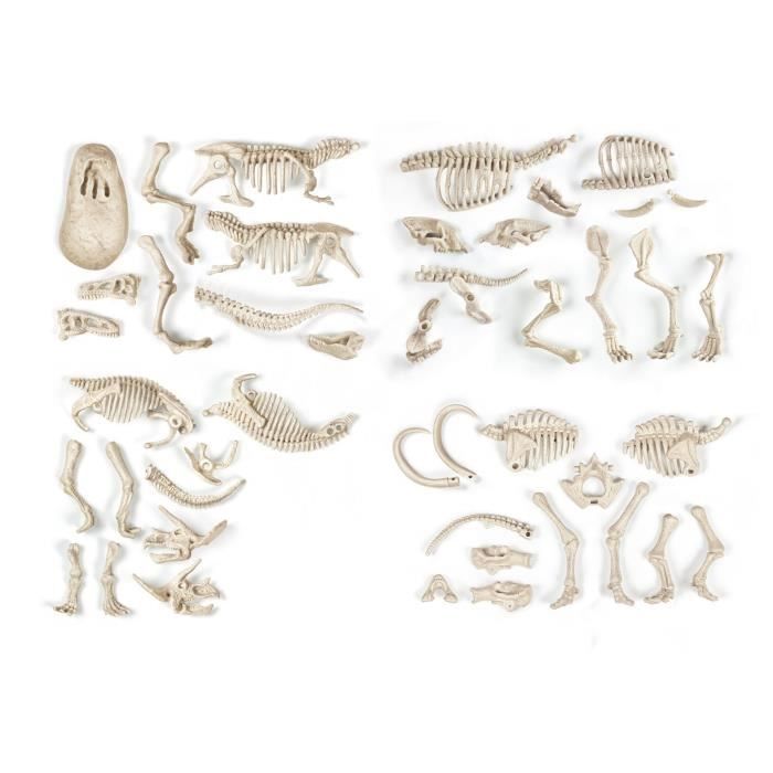 Clementoni - Science & Play - Archaeo Play - Prey and Predators