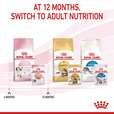 Royal Canin Kitten in Jelly
