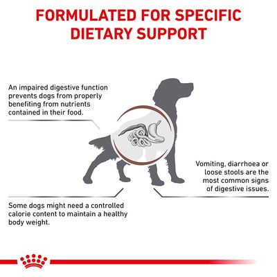 Royal Canin Veterinary Dog - Karma dla psów z problemami żołądkowo-jelitowymi o umiarkowanej zawartości kalorii