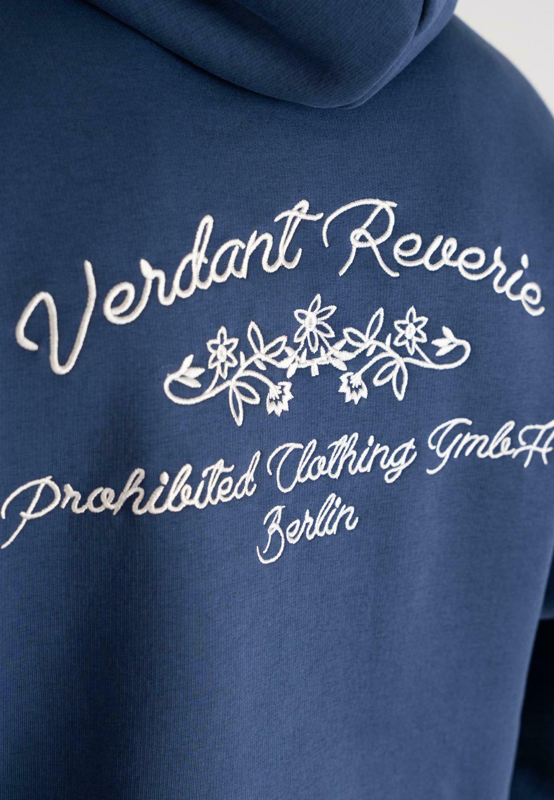VERBODEN GROENE DROOM - Hoodie - blauw