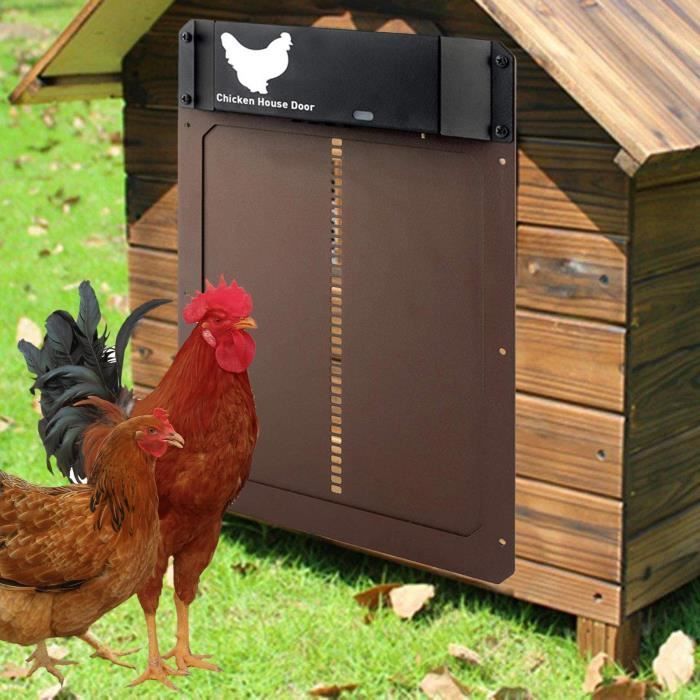 Porte de poulailler automatique avec minuterie et capteur de lumière Ouvre-porte de poulet résistant aux intempéries avec