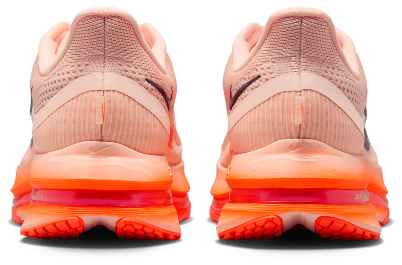 Nike Pegasus Premium