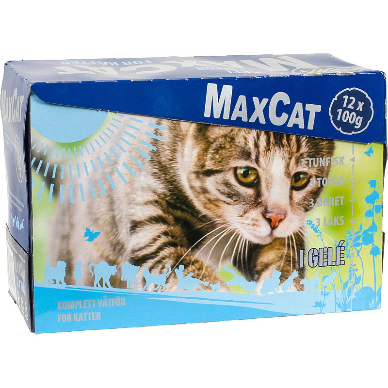 MaxCat kattefoder 12x100 g fisk, MaxCat