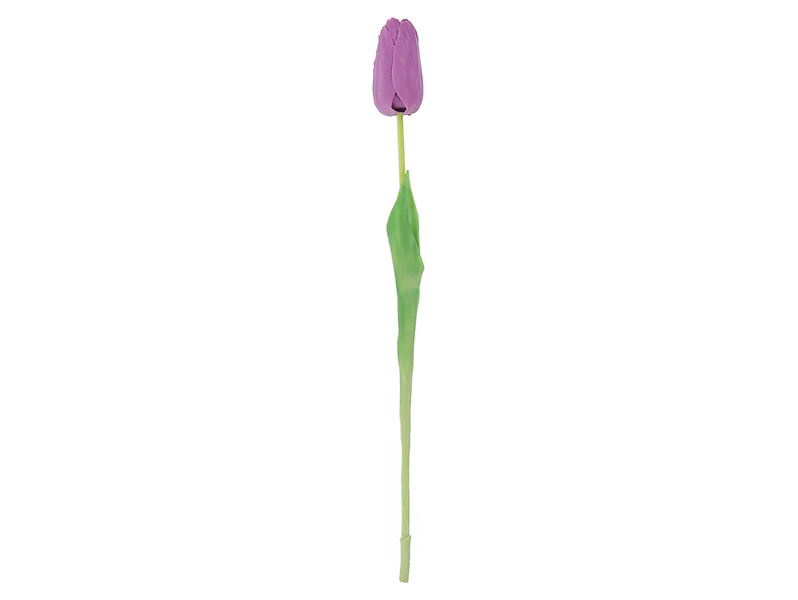 Tulipan pojedynczy 47 cm fioletowy